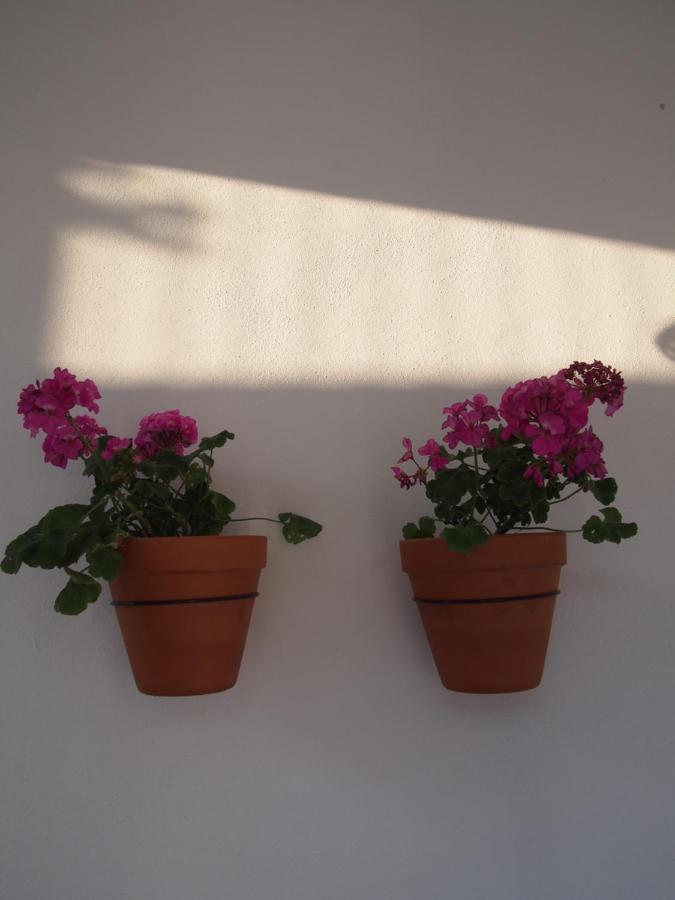 Suites 9 Malaga, Three Unique Suites With Private Plunge Pool 외부 사진